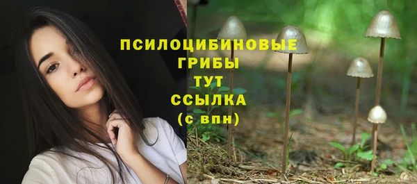 молекула духа Алексин