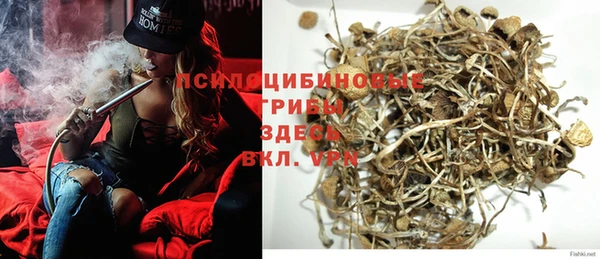 молекула духа Алексин