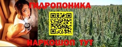 эйфоретик Краснодар