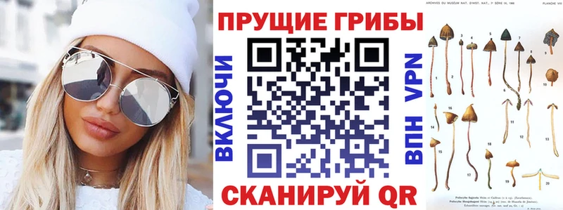 Галлюциногенные грибы мицелий  Гусь-Хрустальный 