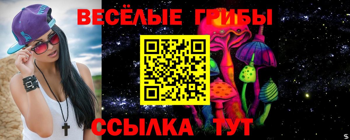 Галлюциногенные грибы Cubensis  Вход с VPN  Гусь-Хрустальный  Псилоцибиновые грибы мицелий 
